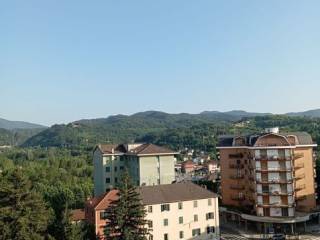 Vista