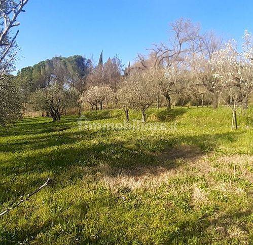 Terreno