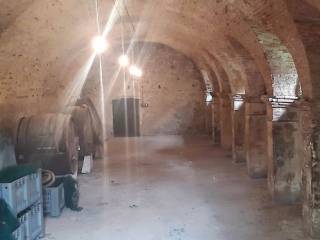 Cantina