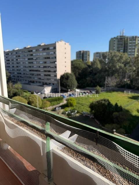 Vista