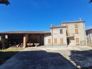 Zona