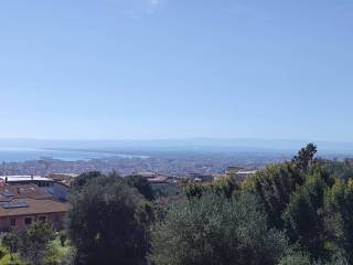 Vista