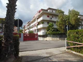 Zona