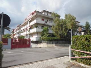 Zona