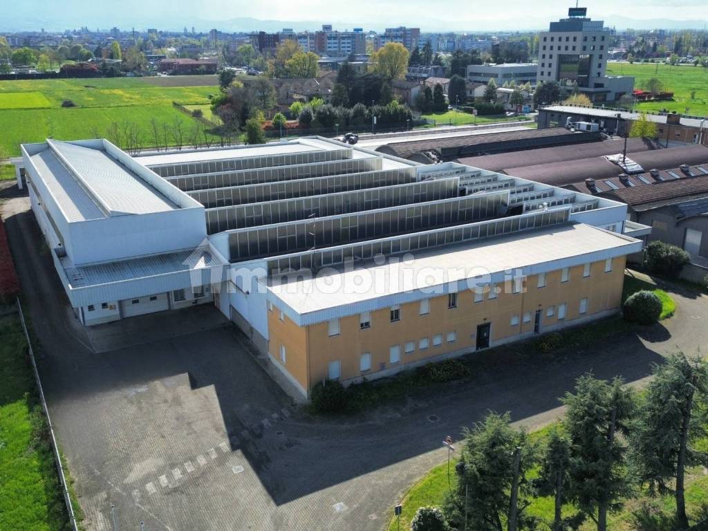 Vista