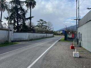 Zona