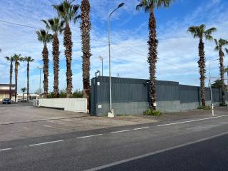 Zona