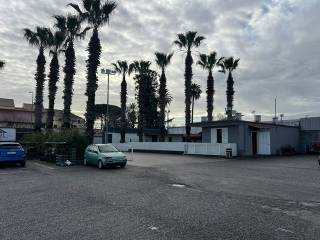 Zona
