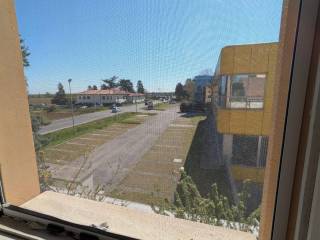 Vista