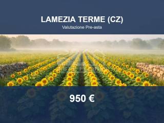 Altro