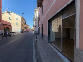 Zona