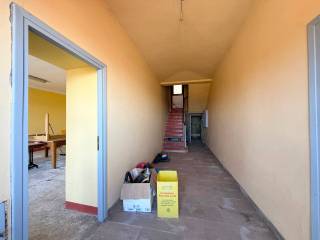 Ingresso