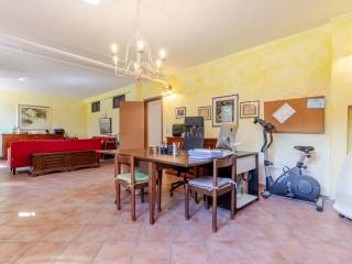 Salone