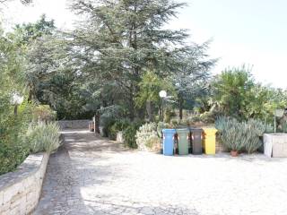 Zona