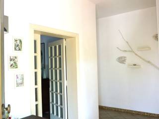 Ingresso
