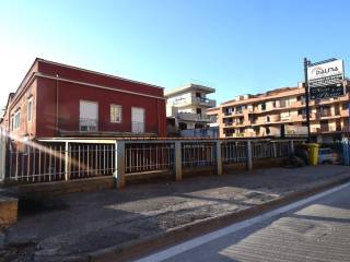 Zona