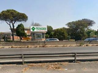 Vista