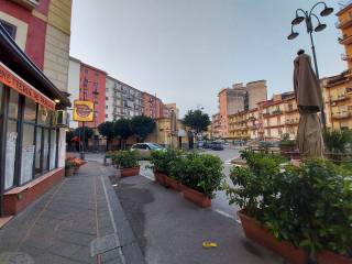 Zona