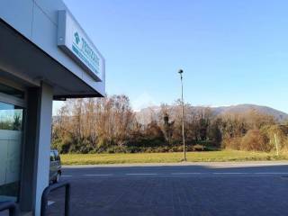 Vista