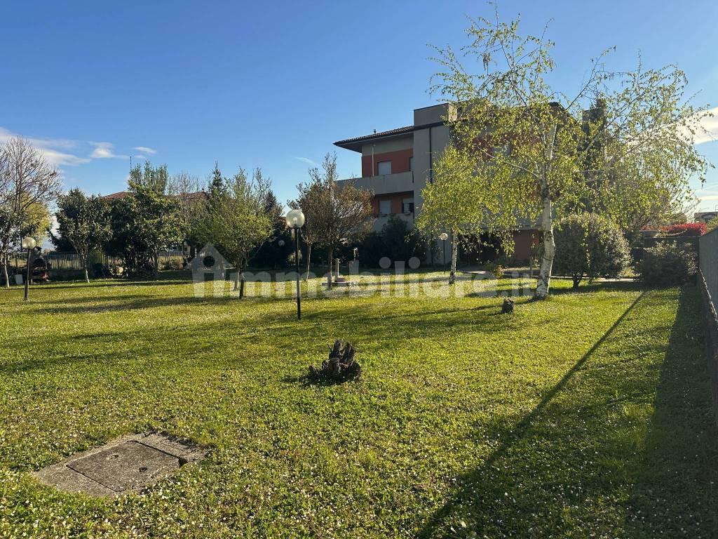 Giardino