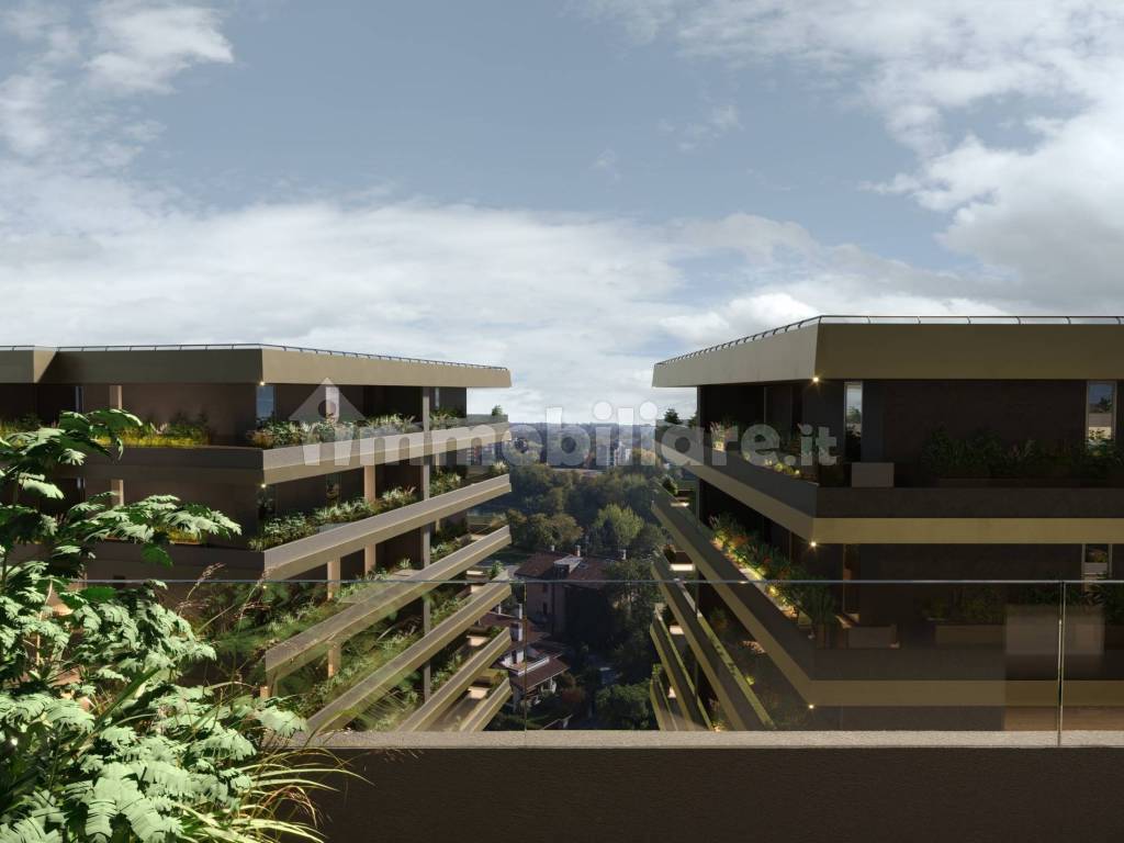 Vista