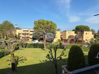 Vista