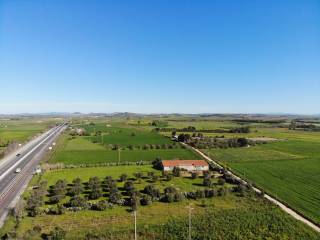 Vista