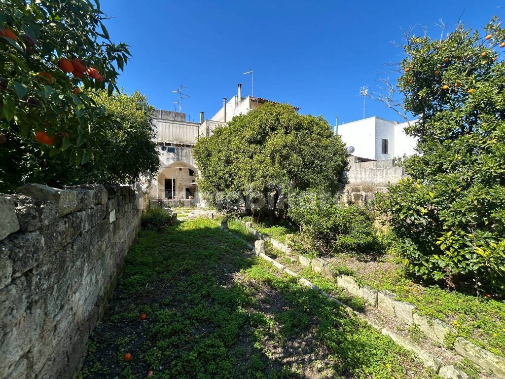 Giardino