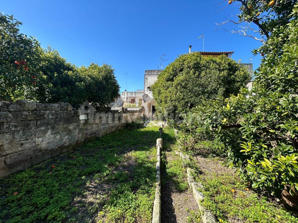 Giardino