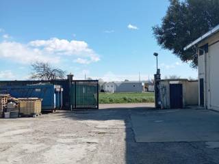 Zona