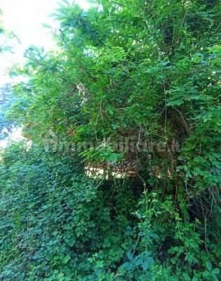 Palazzo - Stabile in vendita a Besozzo