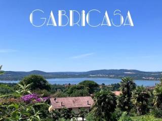 Vista