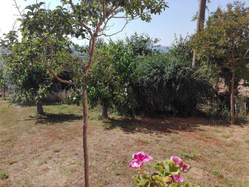 Terreno