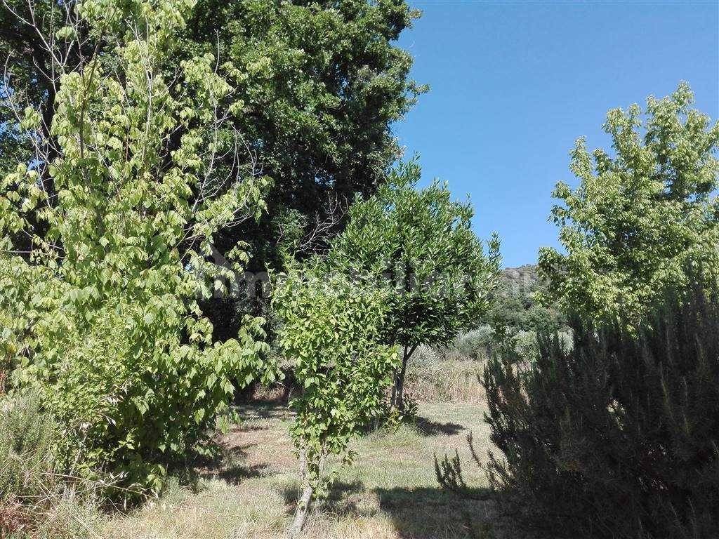 Terreno