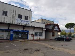 Zona