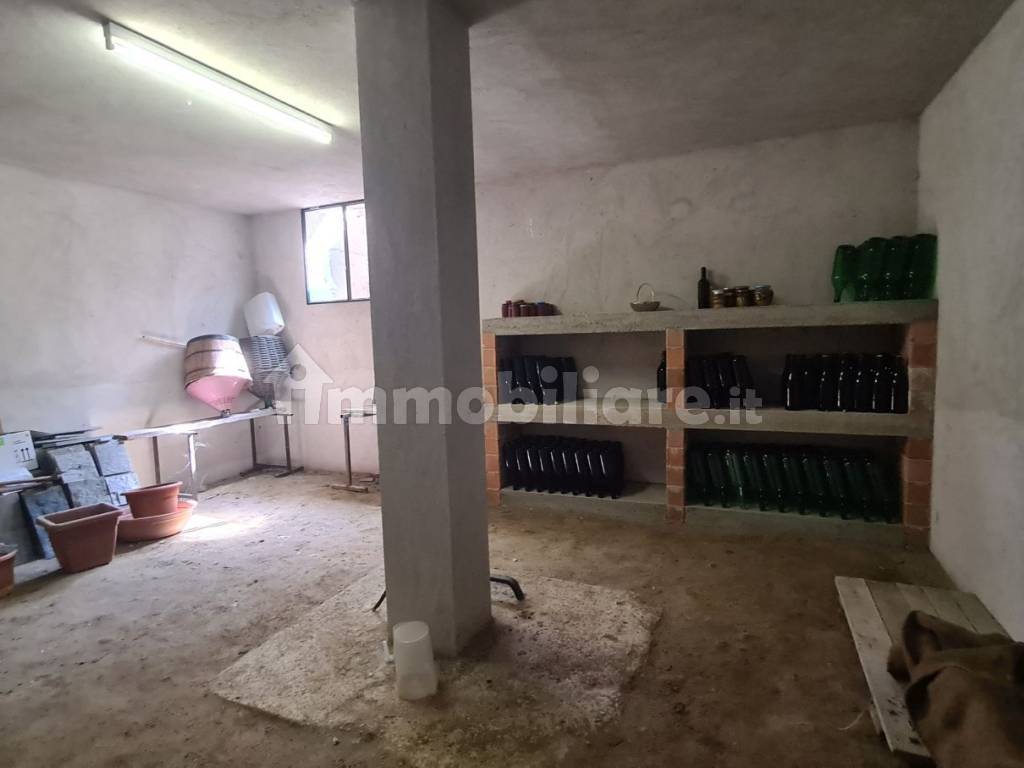 Cantina