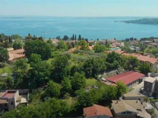 Vista