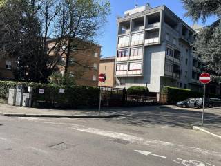 Zona