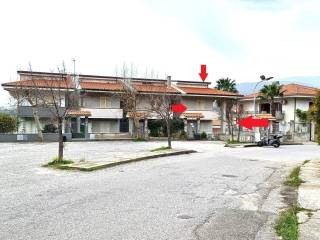 Zona