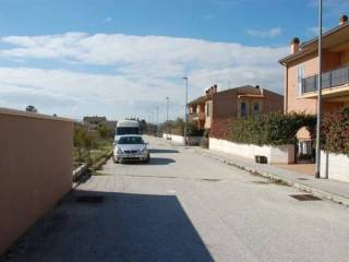 Zona