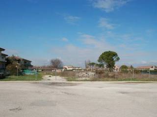 Zona