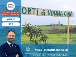 Altro
