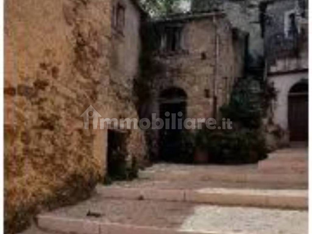 Zona