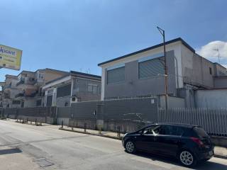 Zona
