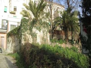 Zona