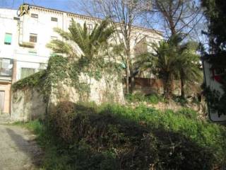 Zona