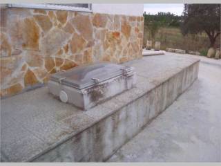 Zona