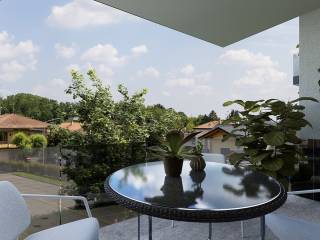 Vista