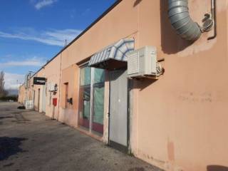 Zona