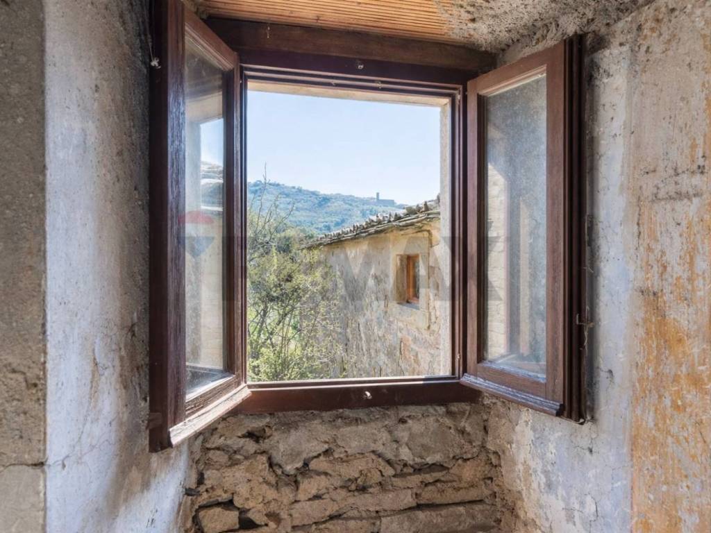 Vista